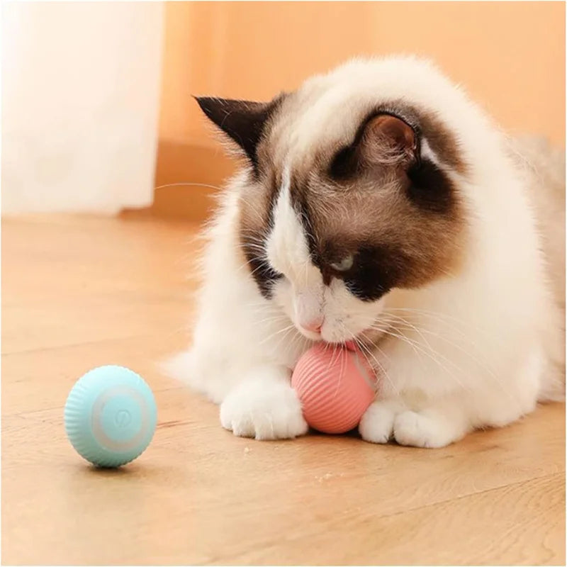 Smart Dog Toy Ball – Interactive USB Rechargeable Moving Pet Toy