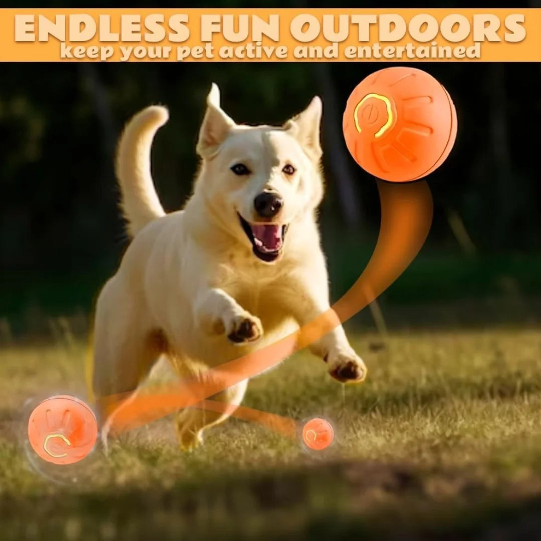 Smart Interactive Pet Toy Ball