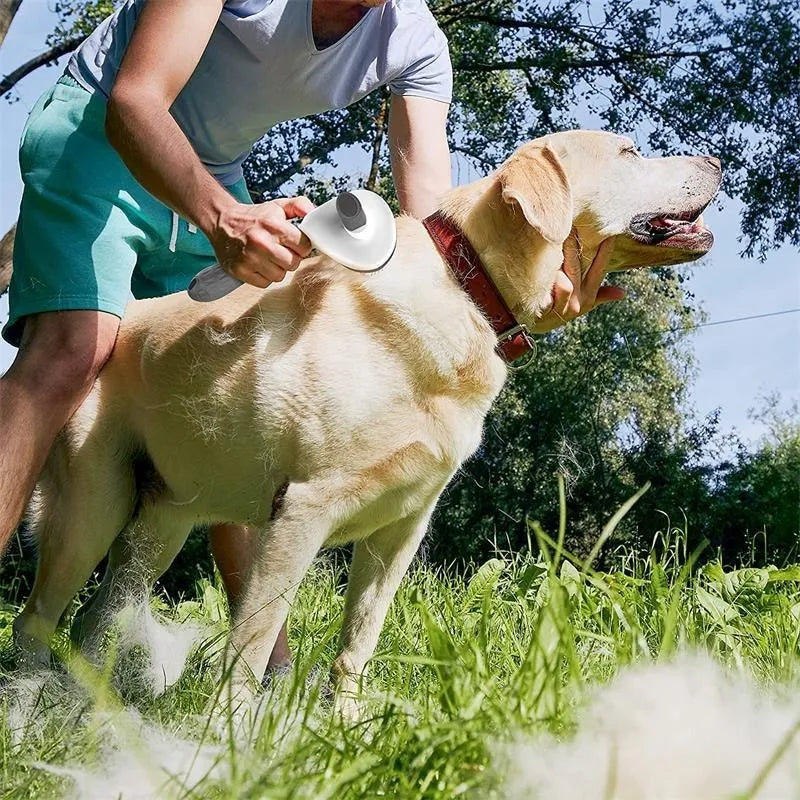 Self-Cleaning Pet Hair Remover Brush – Grooming Tool for Dogs and Cats