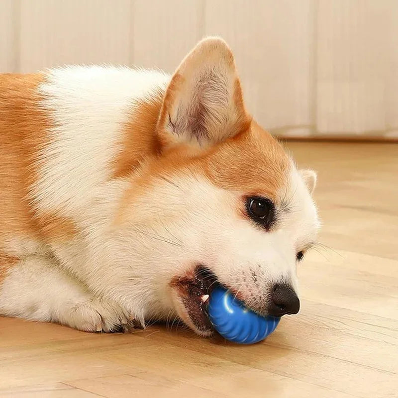 Smart Dog Toy Ball – Interactive USB Rechargeable Moving Pet Toy