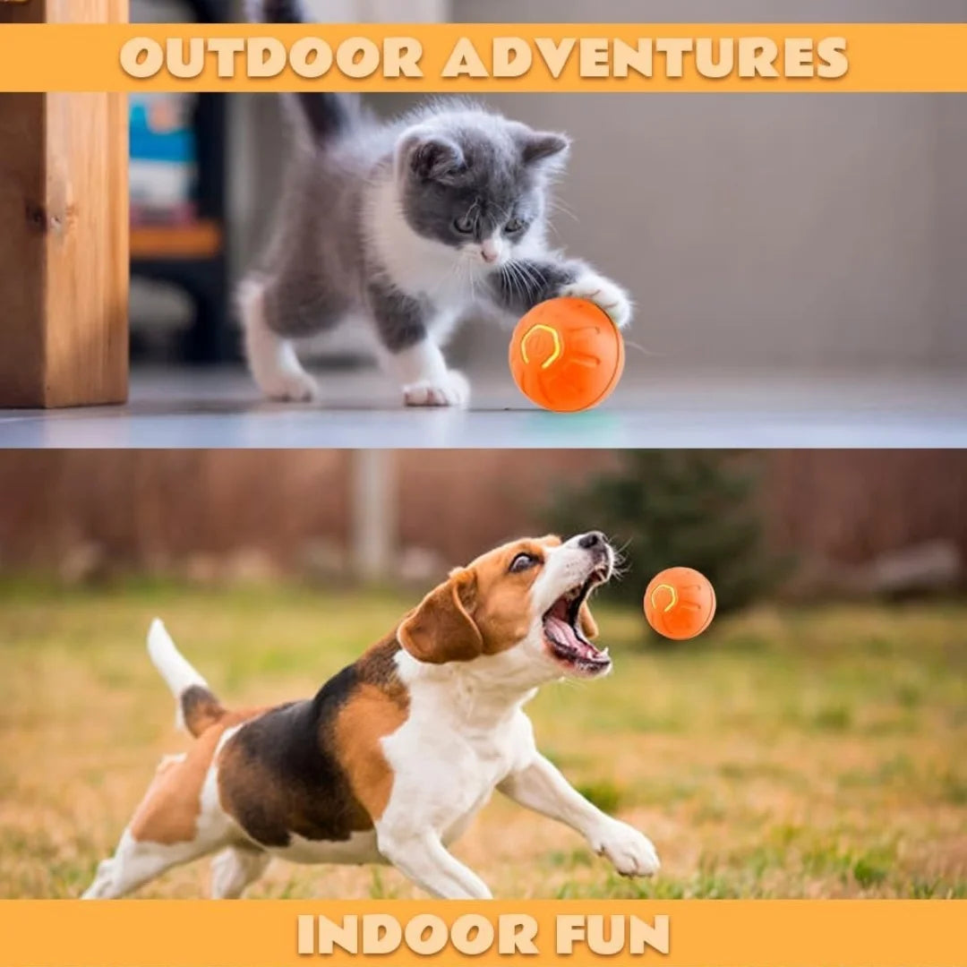 Smart Interactive Pet Toy Ball