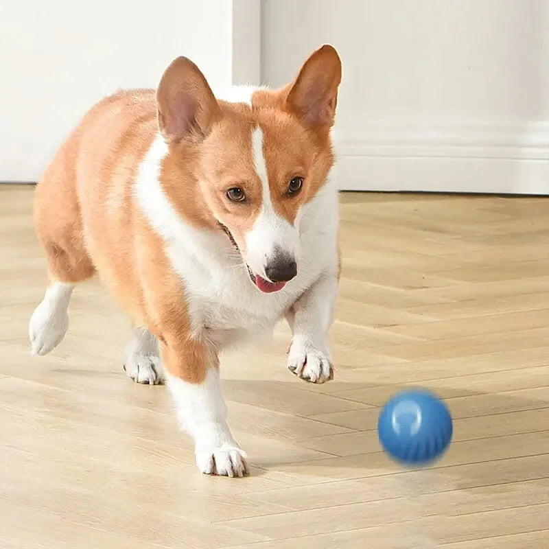 Smart Dog Toy Ball – Interactive USB Rechargeable Moving Pet Toy