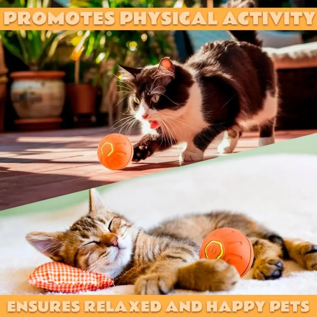 Smart Interactive Pet Toy Ball