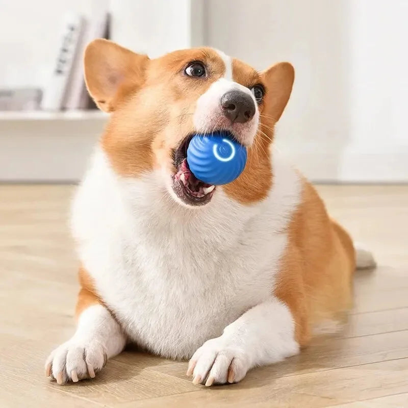 Smart Dog Toy Ball – Interactive USB Rechargeable Moving Pet Toy