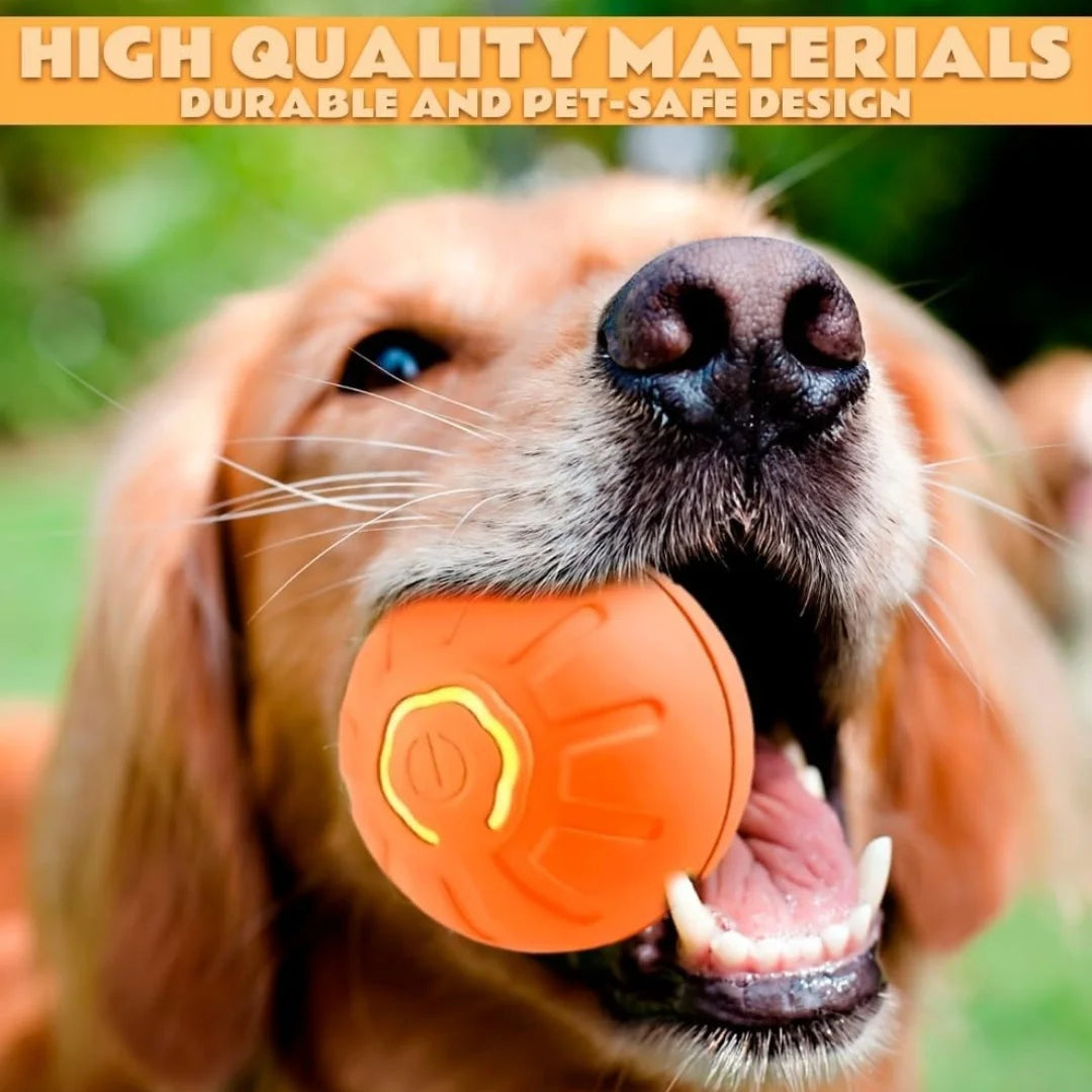 Smart Interactive Pet Toy Ball